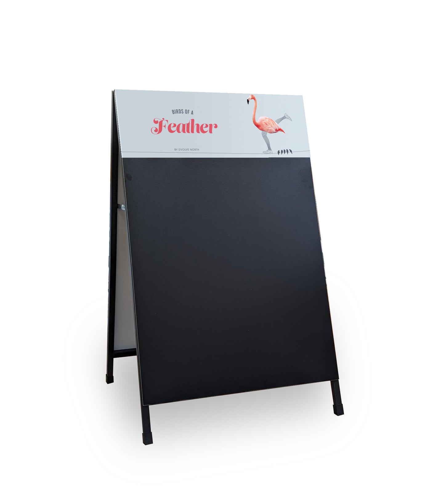 Birds of a Feather A Frame - with Chalk Board EACH 1