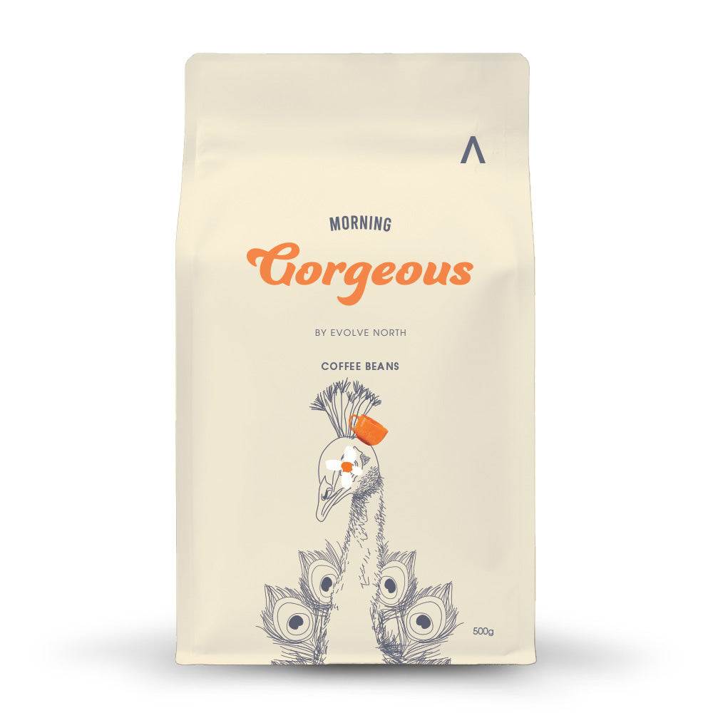 Morning Gorgeous Whole Roast Coffee - 500gm Retail Bag